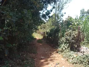 Karatina/Mathaithi Quota Plot