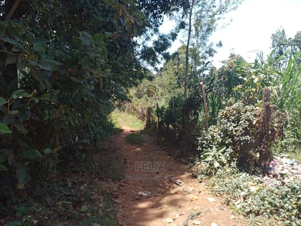 Karatina/Mathaithi Quota Plot - main view