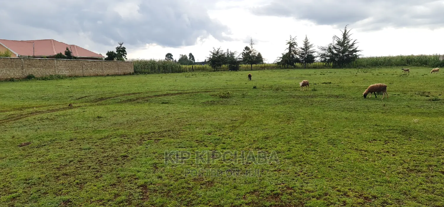 Several Plots for Sale in Kipkorgot Ekdoret