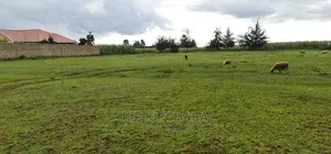 Several Plots for Sale in Kipkorgot Ekdoret