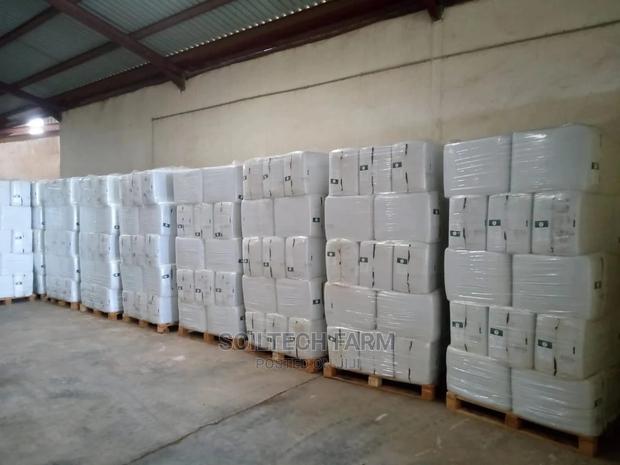 Peat Moss (Sphagnum Moss ) - thumbnail 6