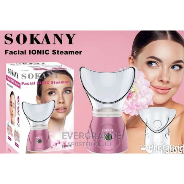 Quality Ionic Steamer -Sokany - main view