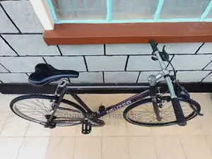 Mountain Bicycle