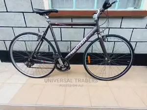 Mountain Bicycle