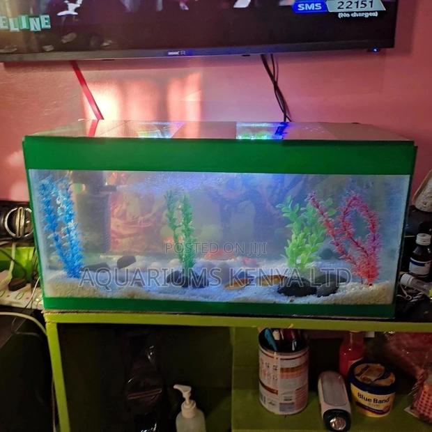 Custom Made Aquariums, Aquarium Accessories, Aquarium Fish - main view