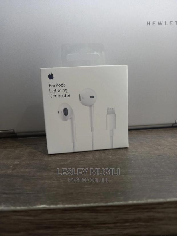 Original iPhone Earphones - main view