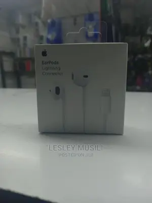 Original iPhone Earphones