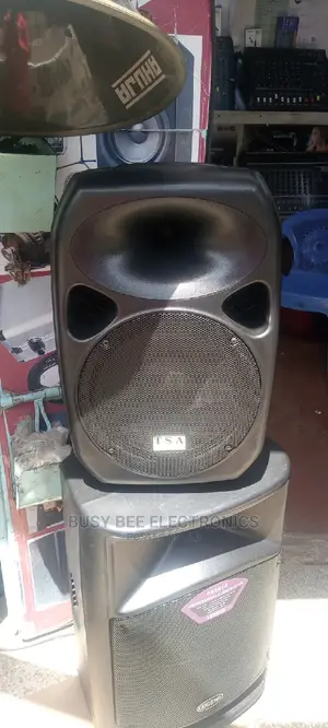 Tsa 12" Speaker