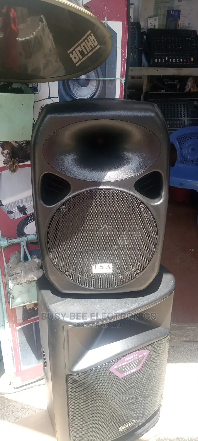 Tsa 12" Speaker