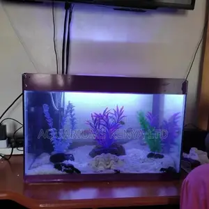 Beautiful Aquariums, Aquarium Accessories, Aquarium Fish
