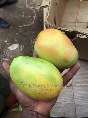 Ngowe Mangoes