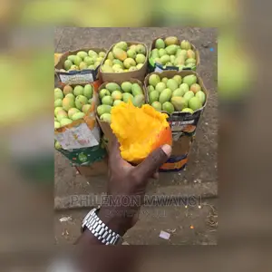 Ngowe Mangoes