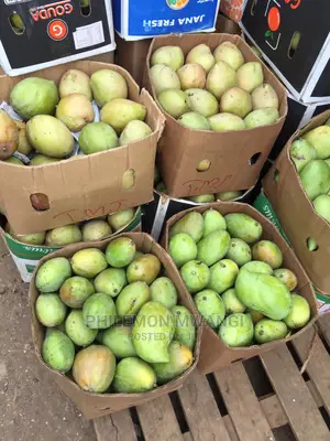 Ngowe Mangoes
