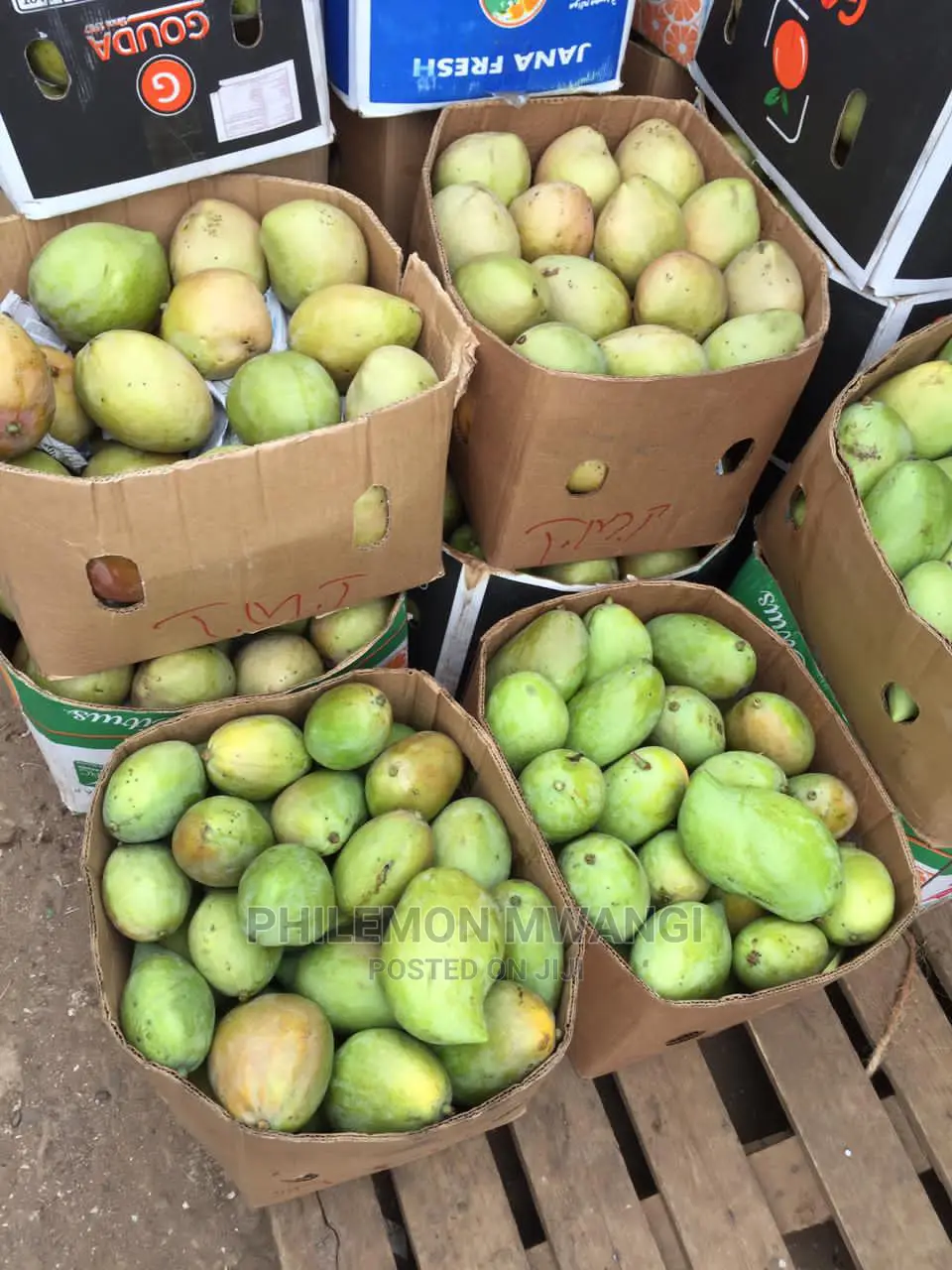 Ngowe Mangoes