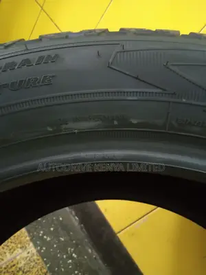 255/55r19 Goodyear Wrangler a/T