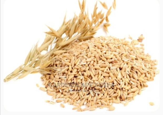 Oats Seeds Per Kg - main view