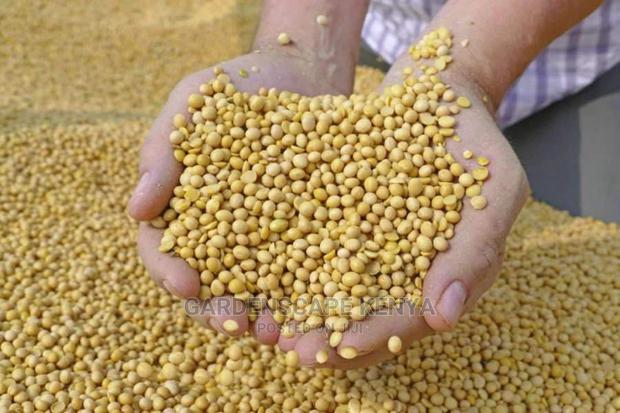 Soy Beans Per Kg - main view