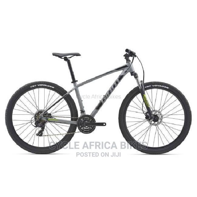 Talon 29 4 Bike L Trekking Green in 