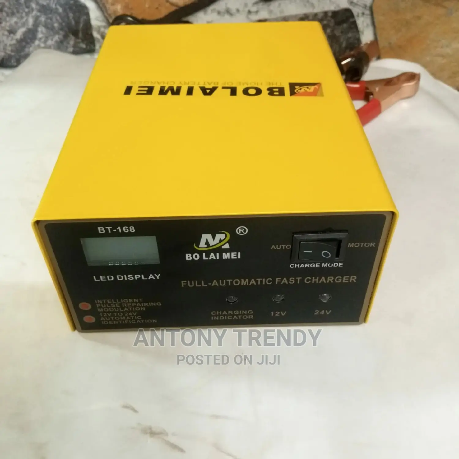 Car Intelligent Blm168 Battery Charger