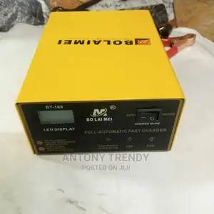 Car Intelligent Blm168 Battery Charger