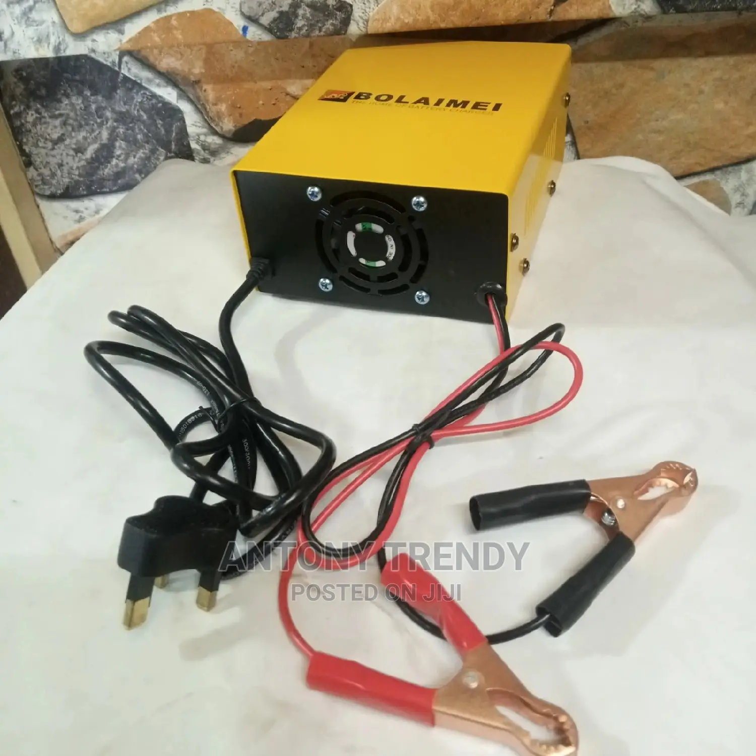 Car Intelligent Blm168 Battery Charger