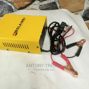 Car Battery Charger for 12and 24v