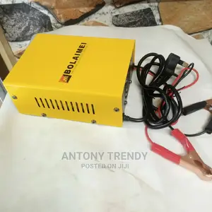 Car Battery Charger for 12and 24v
