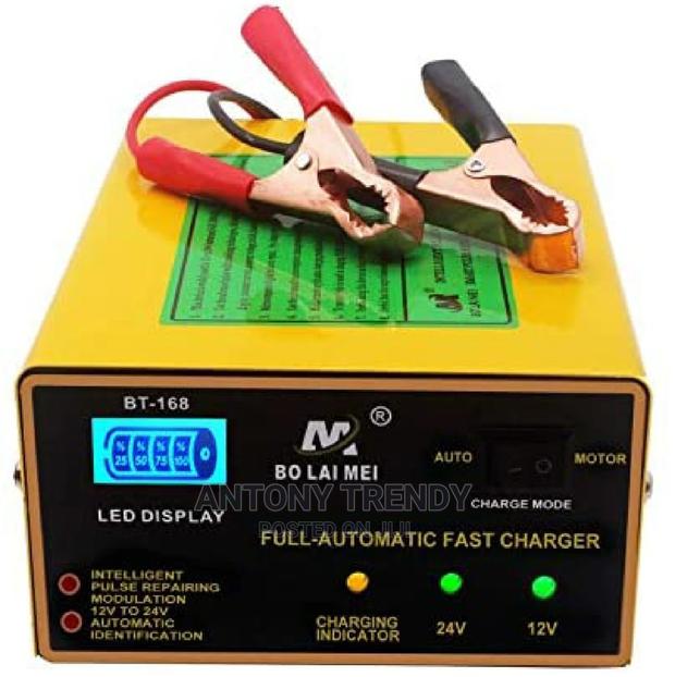 Car Battery Charger BLM 168 12v and 24v - main view