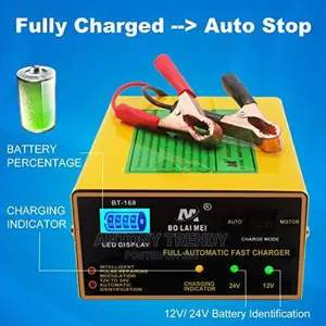 Intelligent Car Battery Charger 12v and 24volts