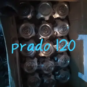 Caps for Prado120