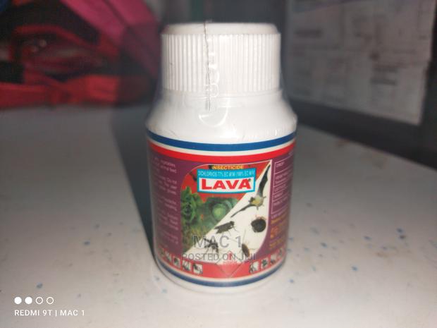 Dichlorvos Lava Bedbug Insecticide - thumbnail 2