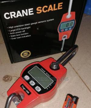 Buy Crane Scale 300kgs - thumbnail 2