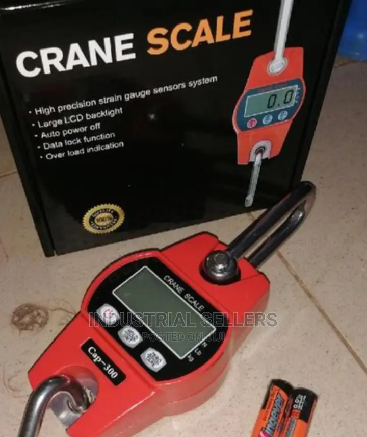 Buy Crane Scale 300kgs