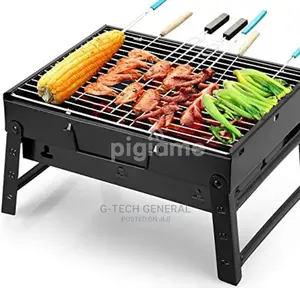 Generic Portable Charcoal Grill
