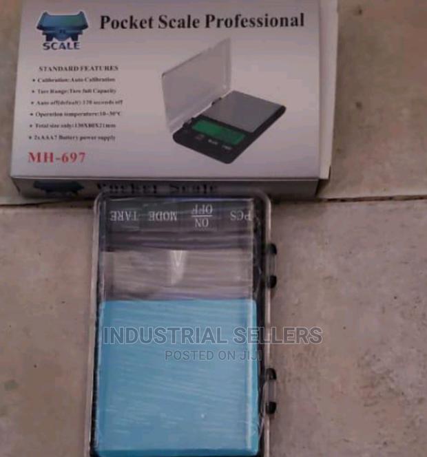 Pocket Scale Professional - main view