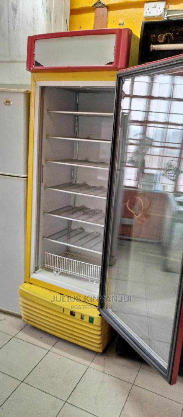 Commercial Upright Freezer - thumbnail 4
