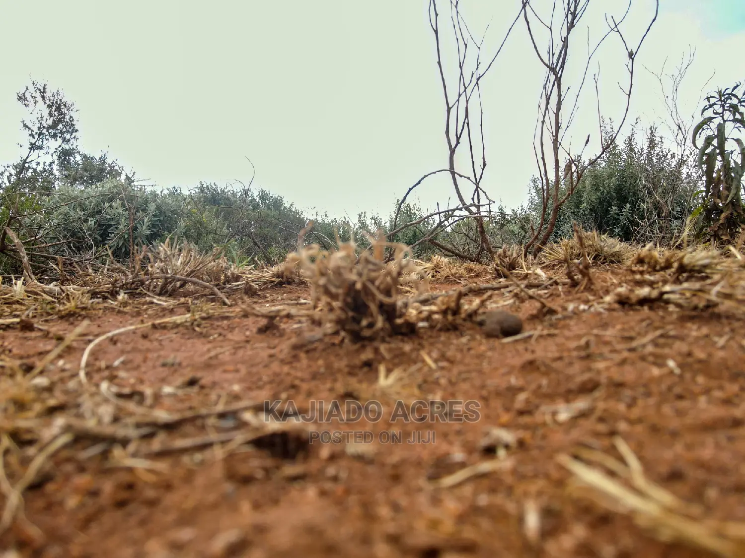 Prime Kimuka 15 Acres at 3.2m Per Acre