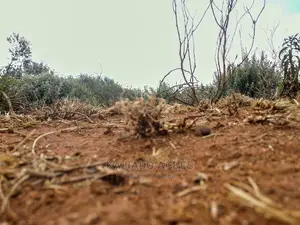 Prime Kimuka 15 Acres at 3.2m Per Acre