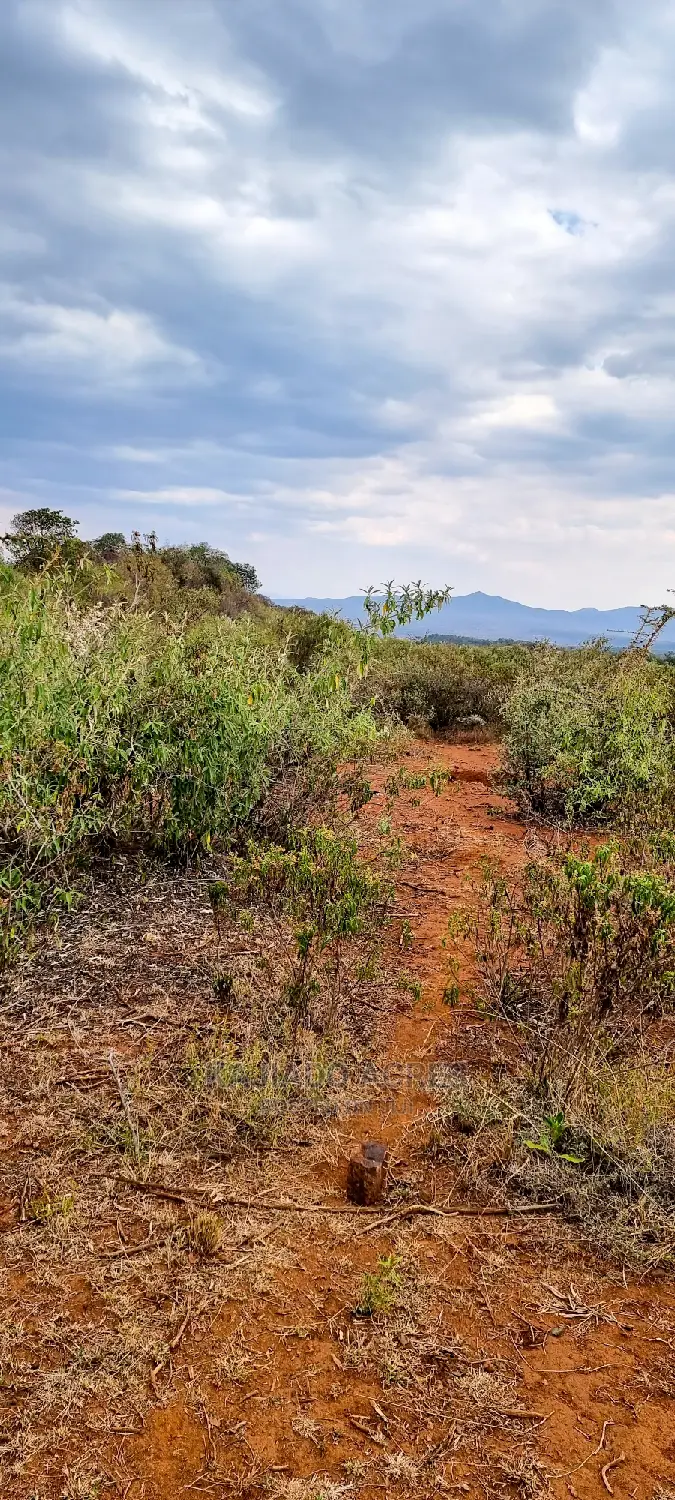 Prime Kimuka 15 Acres at 3.2m Per Acre