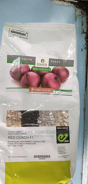 Red Coach F1 ONION HYBRID SEEDS 250,000 Seeds