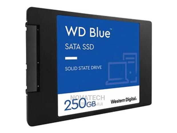 WD Bluetm 2.5 Sata Internal Ssd 250gb - main view