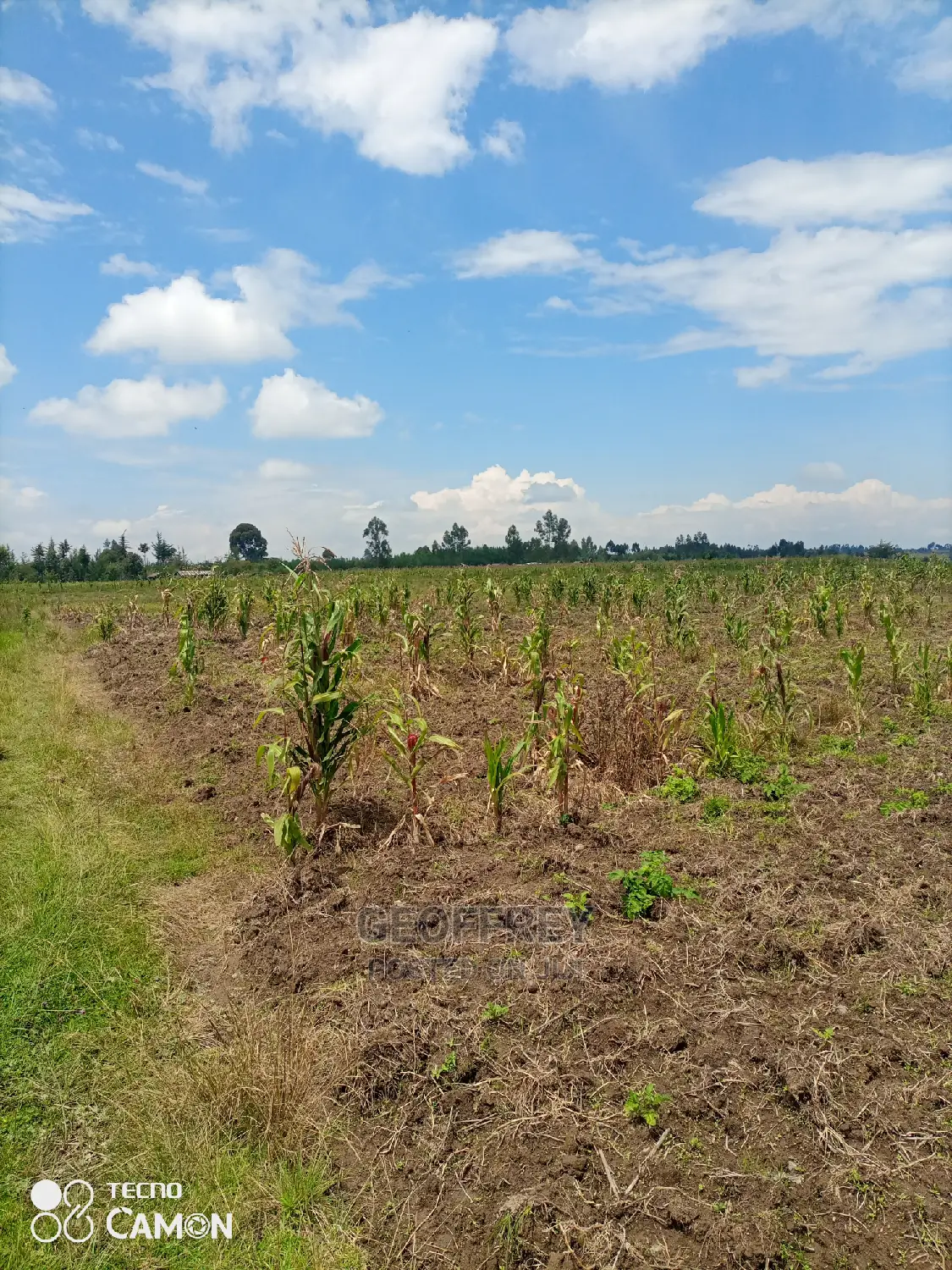 Selling 42 Acres in Kinangop Mawingu in North Kinangop Land & Plots