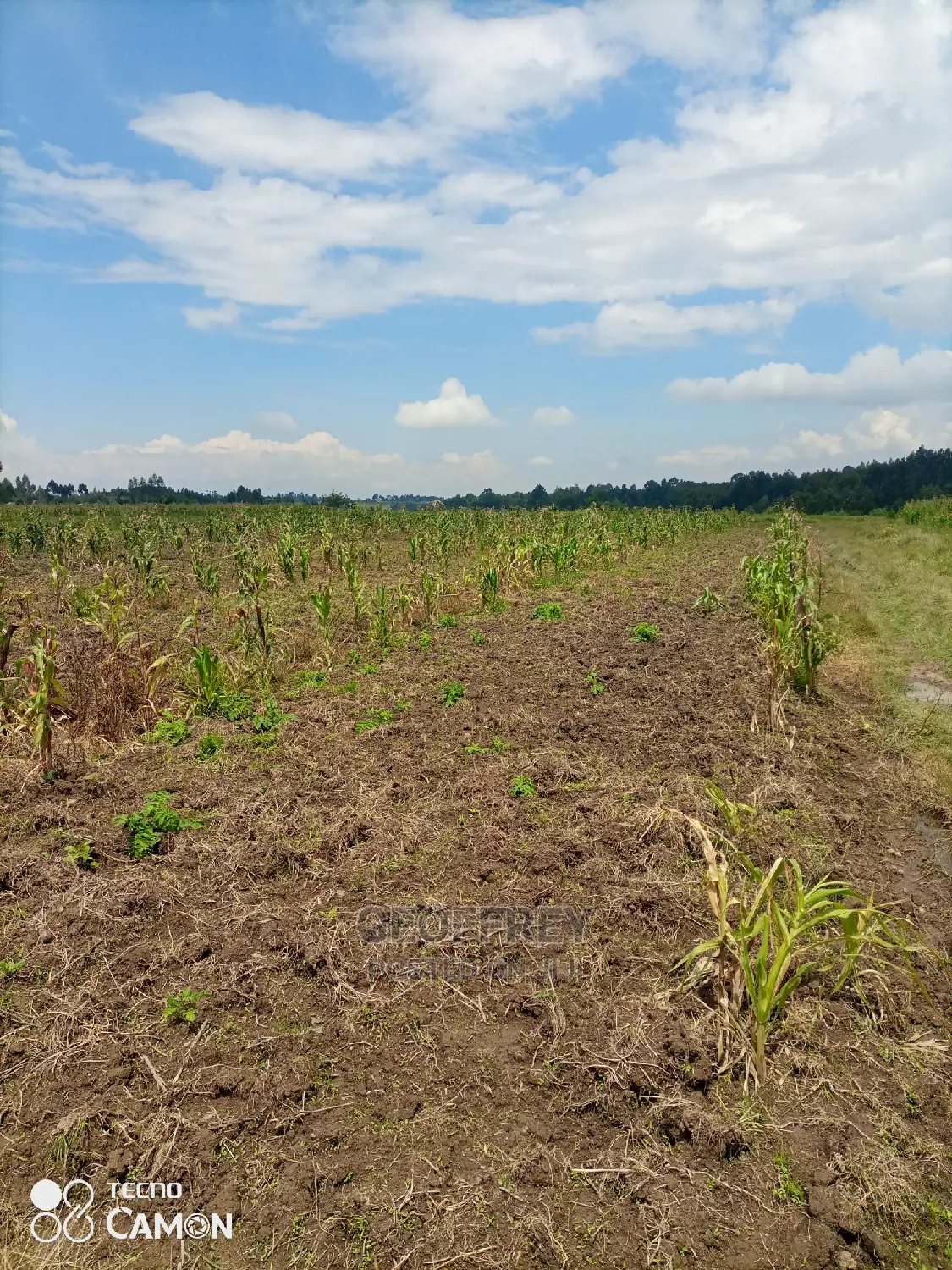 Selling 42 Acres in Kinangop Mawingu in North Kinangop Land & Plots