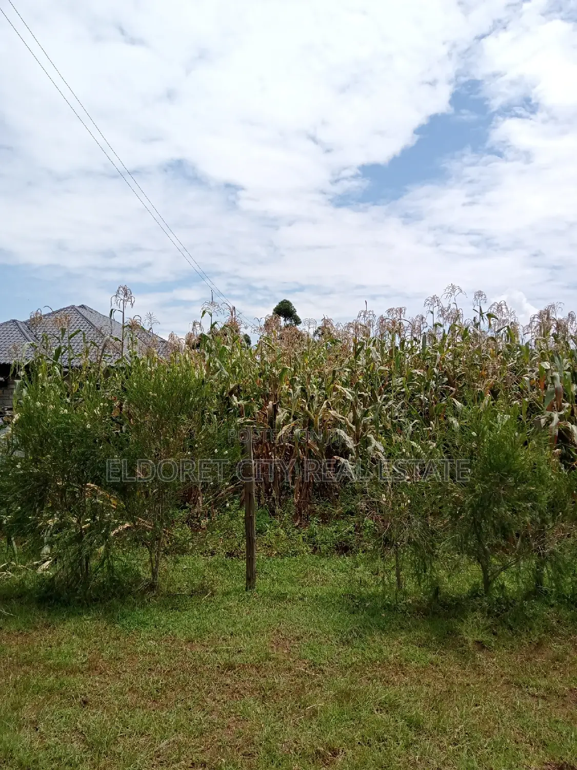 1/2 Plot Kiplombe Good for Residential