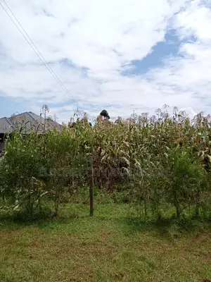 1/2 Plot Kiplombe Good for Residential
