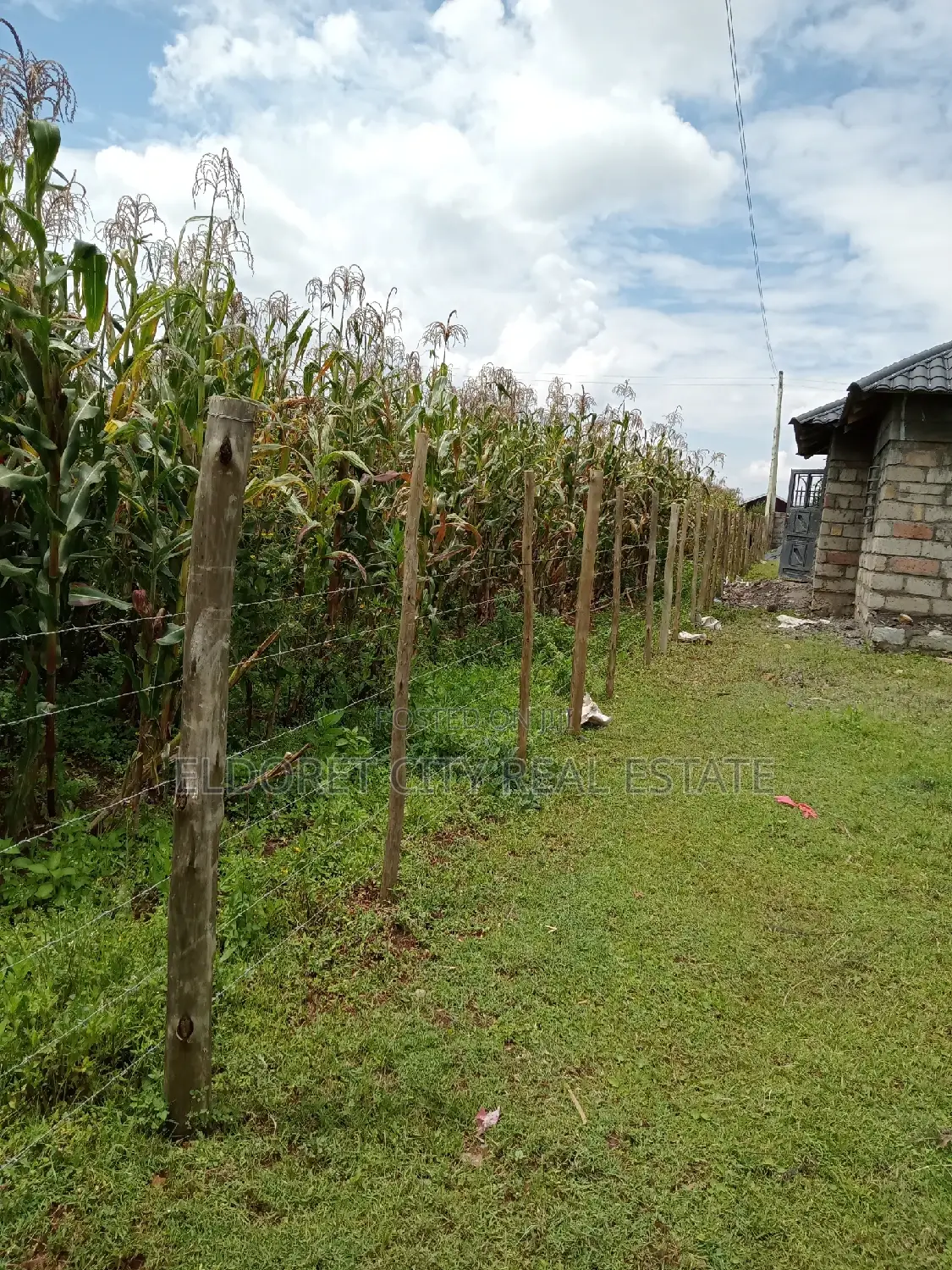 1/2 Plot Kiplombe Good for Residential