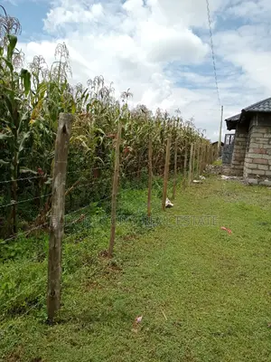 1/2 Plot Kiplombe Good for Residential