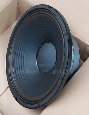 Rcf 15 Inch Bass Speaker L15S800