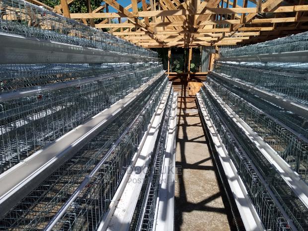 High Quality Battery Cage
