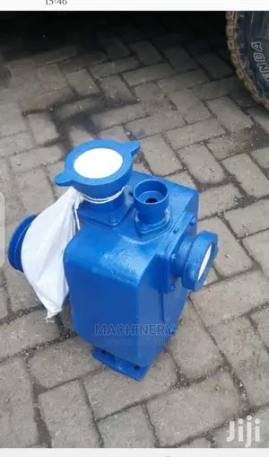 Brand New Bare Pumps(High Pressure)